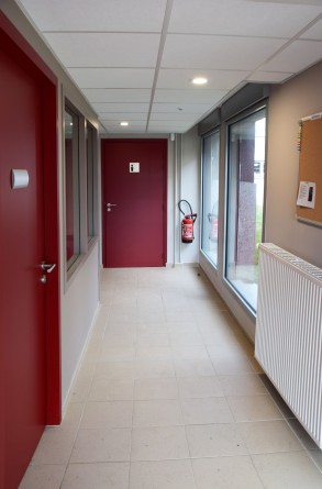 05CER-CMS.jpg